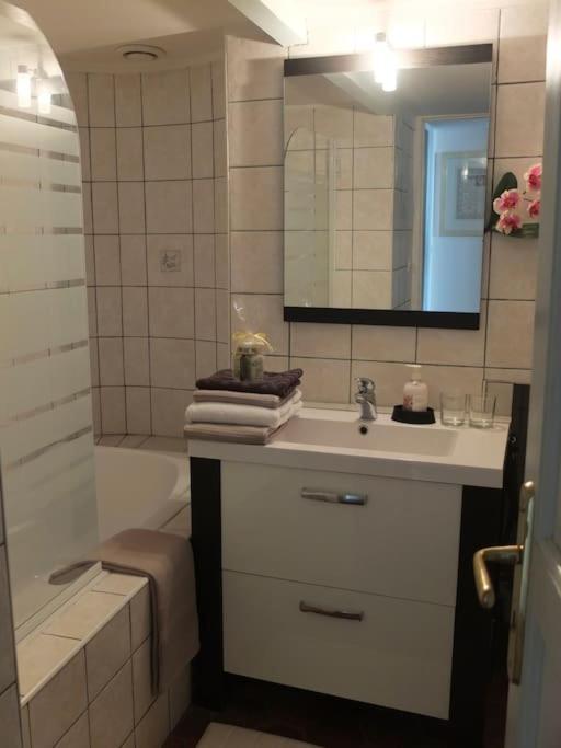 第戎Charming Flat In Historical Centre公寓 外观 照片