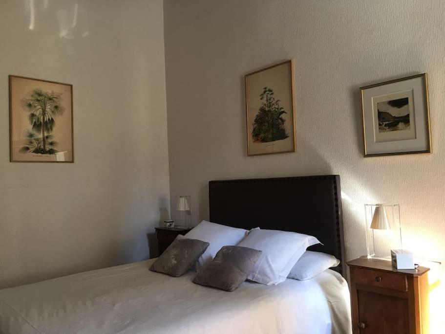 第戎Charming Flat In Historical Centre公寓 外观 照片